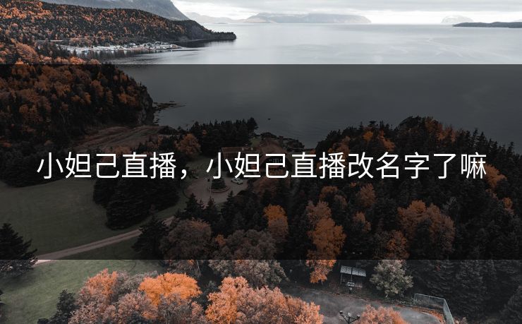 小妲己直播,小妲己直播改名字了嘛