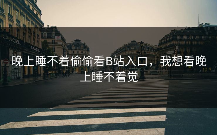 晚上睡不着偷偷看B站入口,我想看晚上睡不着觉