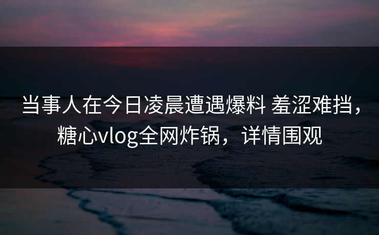当事人在今日凌晨遭遇爆料 羞涩难挡,糖心vlog全网炸锅,详情围观