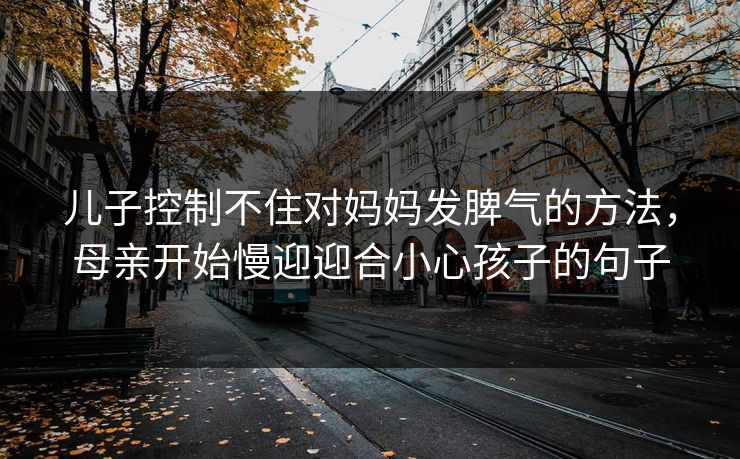 儿子控制不住对妈妈发脾气的方法，母亲开始慢迎迎合小心孩子的句子