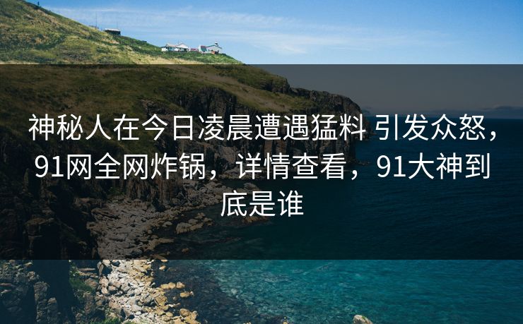 神秘人在今日凌晨遭遇猛料 引发众怒,91网全网炸锅,详情查看,91大神到底是谁
