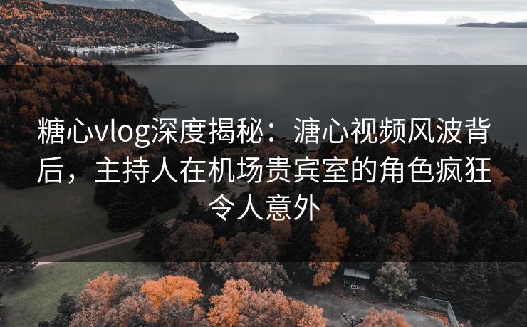 糖心vlog深度揭秘：溏心视频风波背后，主持人在机场贵宾室的角色疯狂令人意外