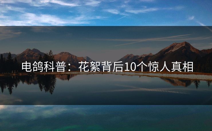 电鸽科普：花絮背后10个惊人真相