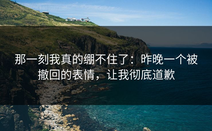 那一刻我真的绷不住了：昨晚一个被撤回的表情，让我彻底道歉