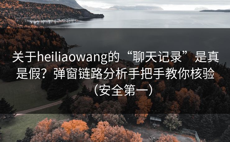 关于heiliaowang的“聊天记录”是真是假?弹窗链路分析手把手教你核验(安全第一)